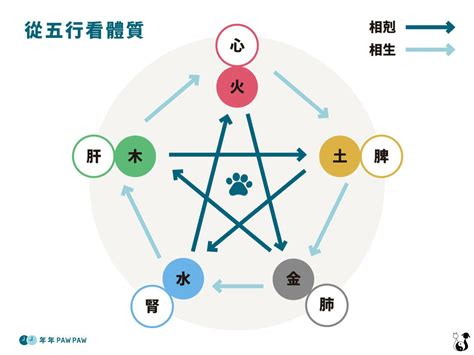 寵物五行|毛孩也有「 金木水火土」五行屬性！用寵物五行了解。